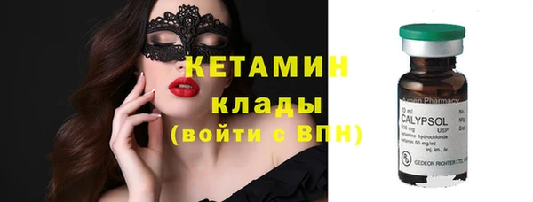 крисы Бородино