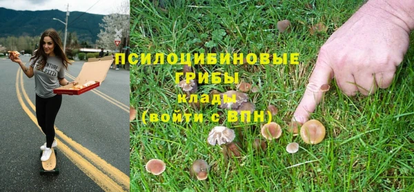 спиды Белокуриха